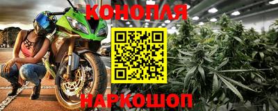 Альфа ПВП Новозыбков