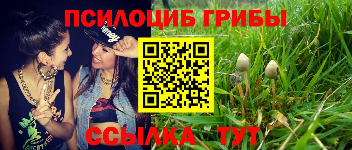 Псилоцибиновые грибы Cubensis  наркота  Топки  Вход с VPN 