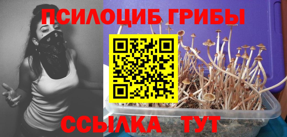 Галлюциногенные грибы мухоморы Топки